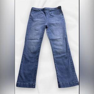 Pilcro and Letterpress by Anthropologie High Rise Denim Legging Size 29